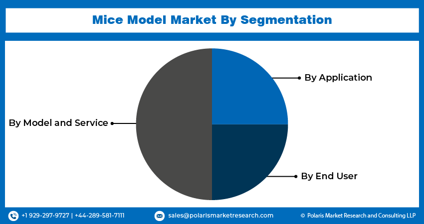 Mice Model Seg